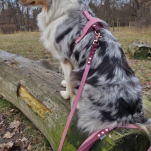 SZELKI GUARD PawTex® 25 mm